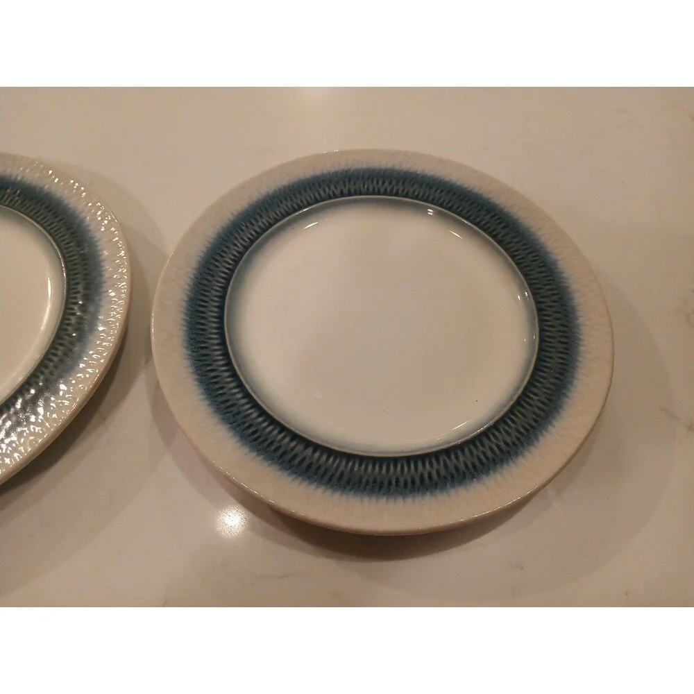 Set Of 2 Beautiful Pfaltzgraff Eclipse Blue 8.25